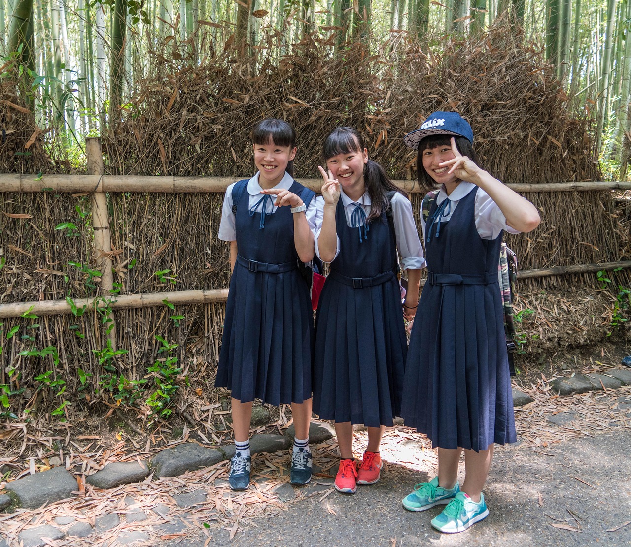 林沐沈微成，章节更新的魅力与探索之旅