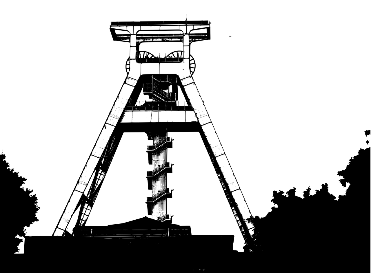 寒枝不肯栖 第4页