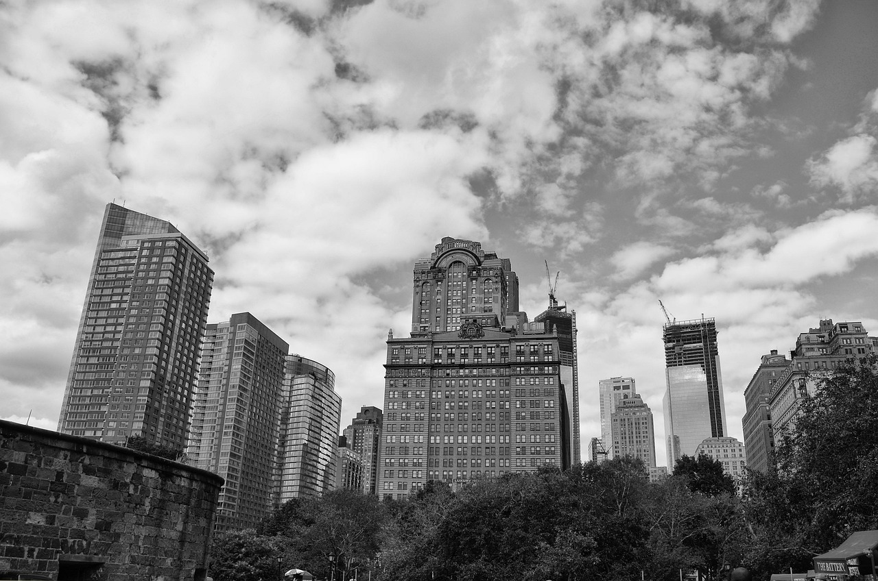 中宠股份行情深度解析与展望