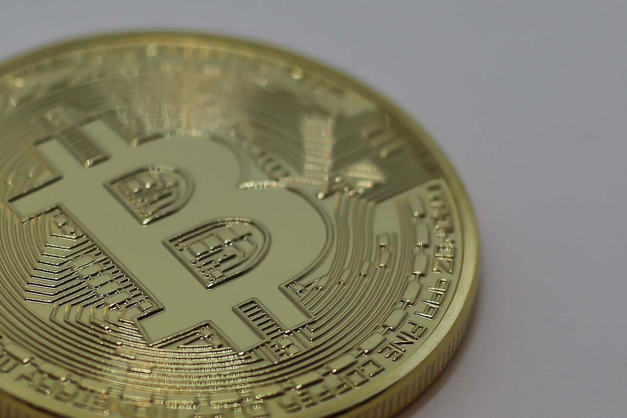 三七价格动态走势解析，趋势分析与预测