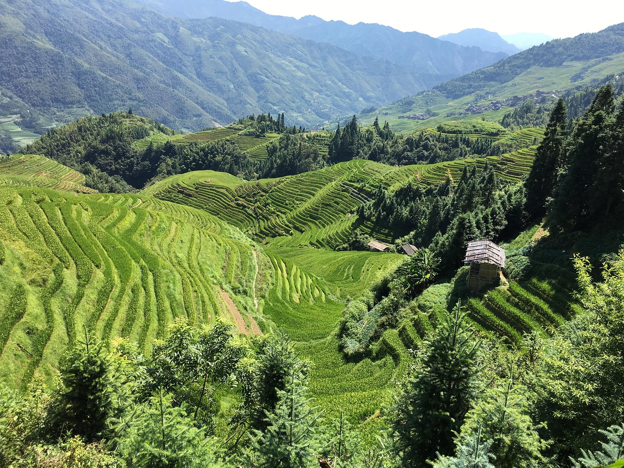 最新草原地方，自然美景与文化传承的交融之处