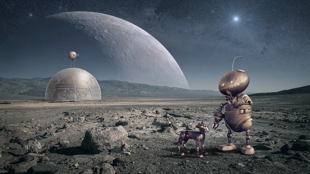 明星被上的小说，现实与虚构的交汇探索