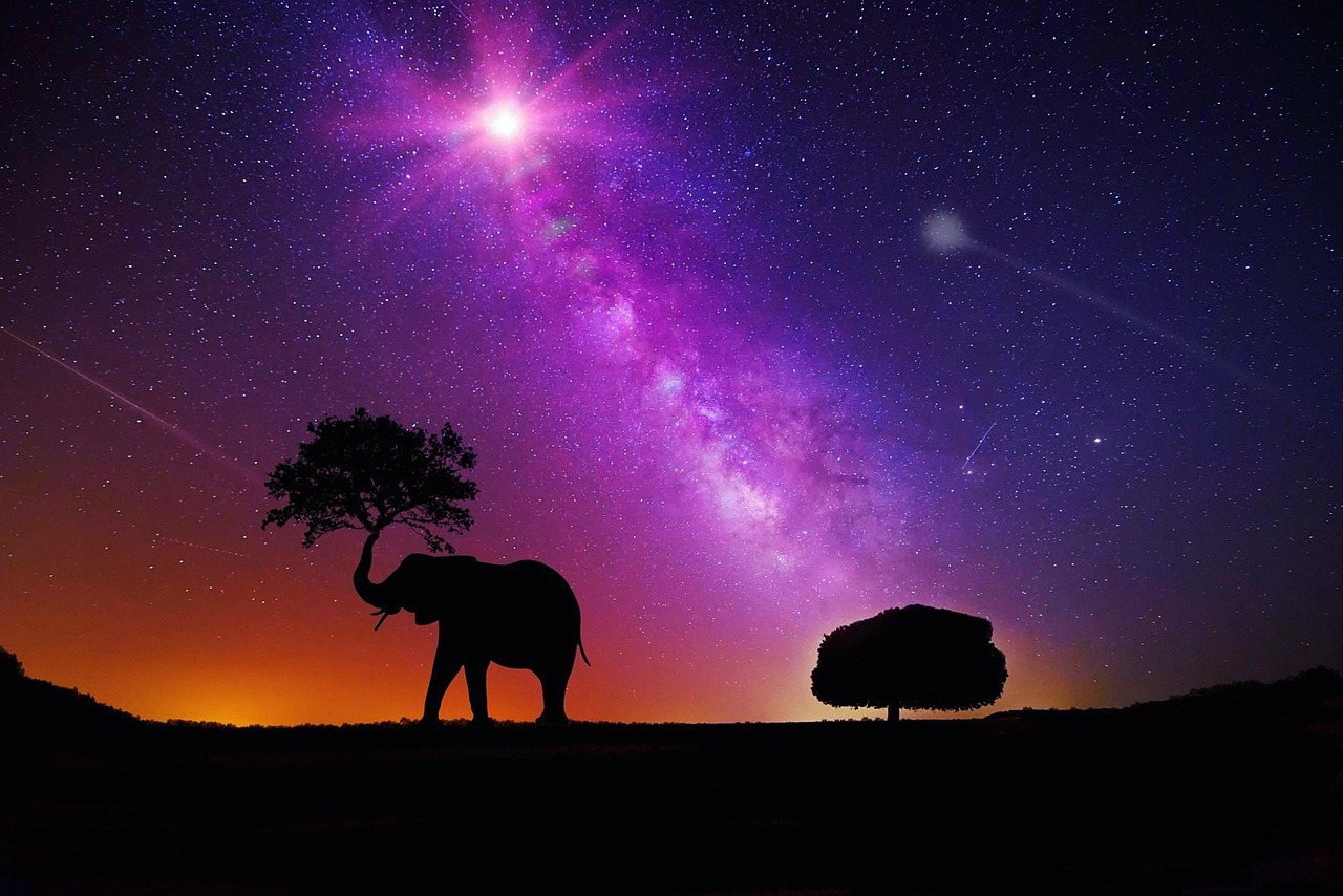 明星Y现场，璀璨舞台与激情的碰撞之夜
